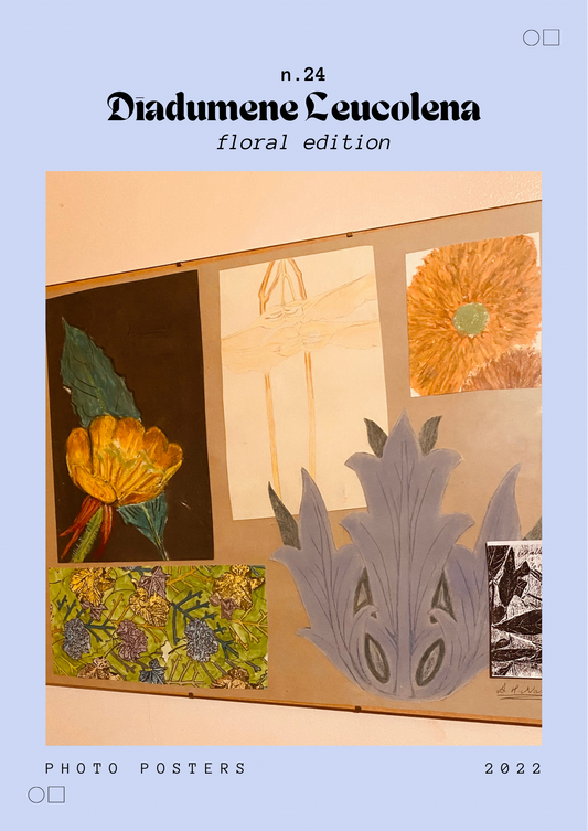 Framed, glass front, floral collage. conceptual Art