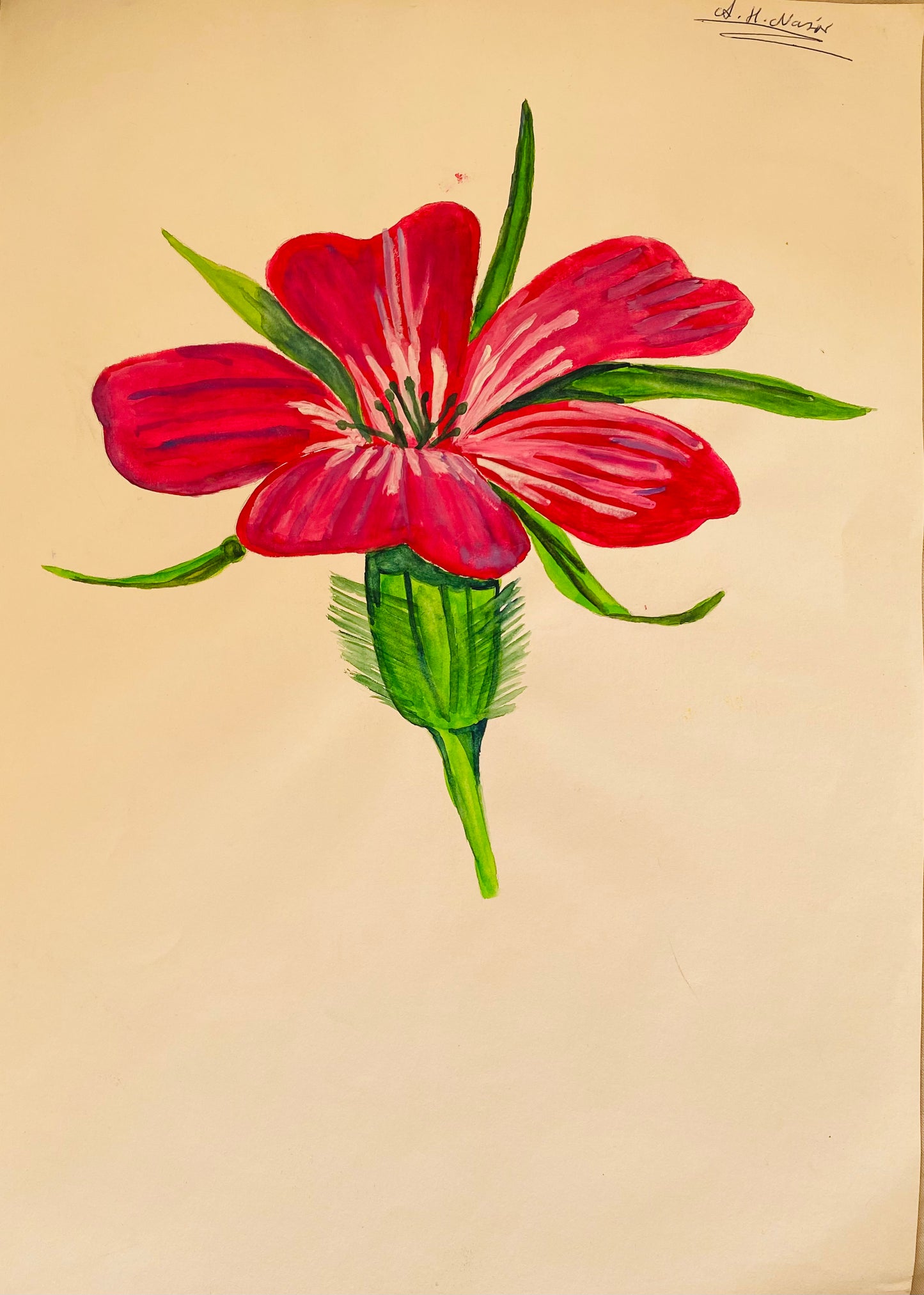Art of many medians and style, just scroll